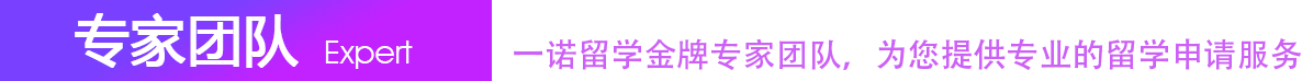 专家团队