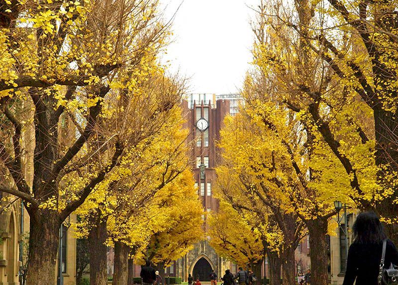 东京大学